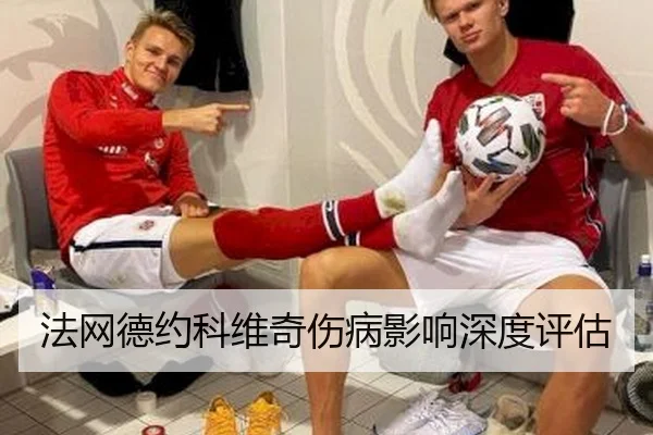 法网德约科维奇伤病影响深度评估